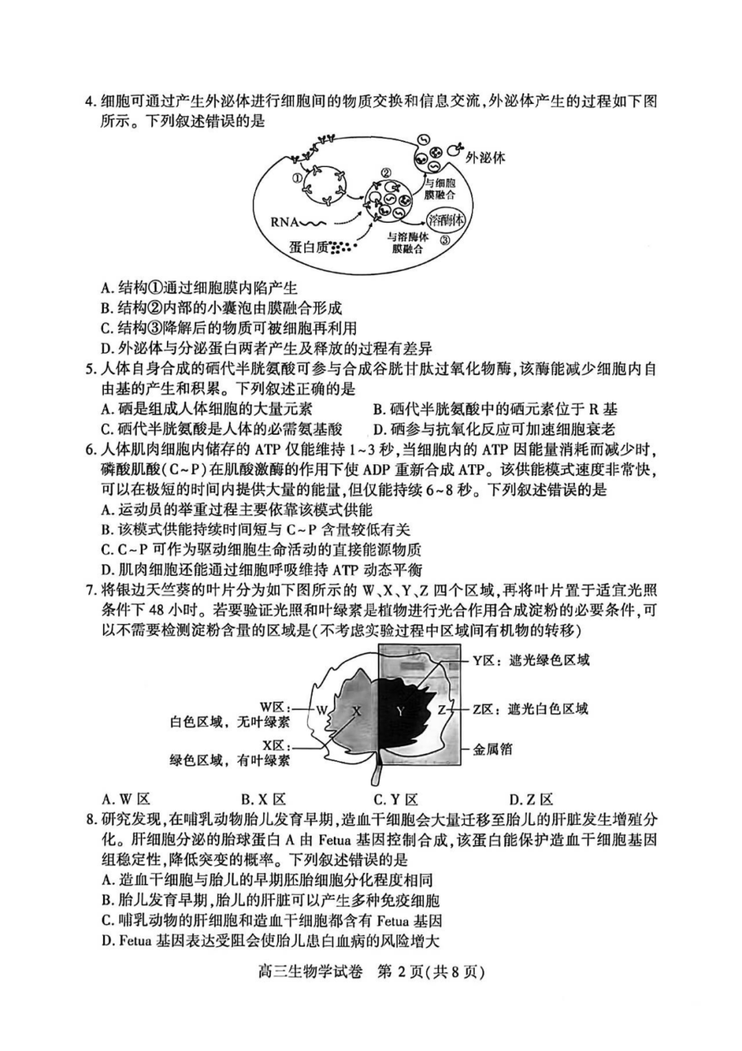 2025届武汉高三二调全解析：九科试卷真题及答案解析