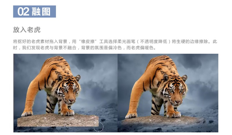 PS合成凶猛的老虎和拿斧头的勇士对峙的场景教程