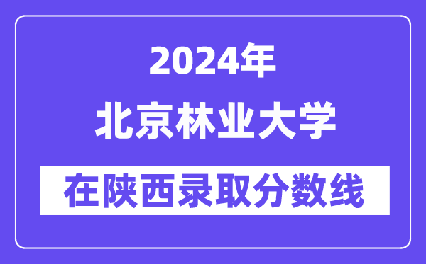 北京林业大学2024年在陕西录取分数线一览表(2025年参考)