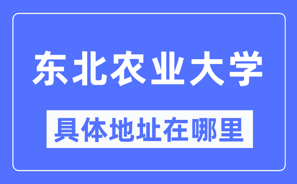 东北农业大学具体地址在哪里,在哪个城市,哪个区?