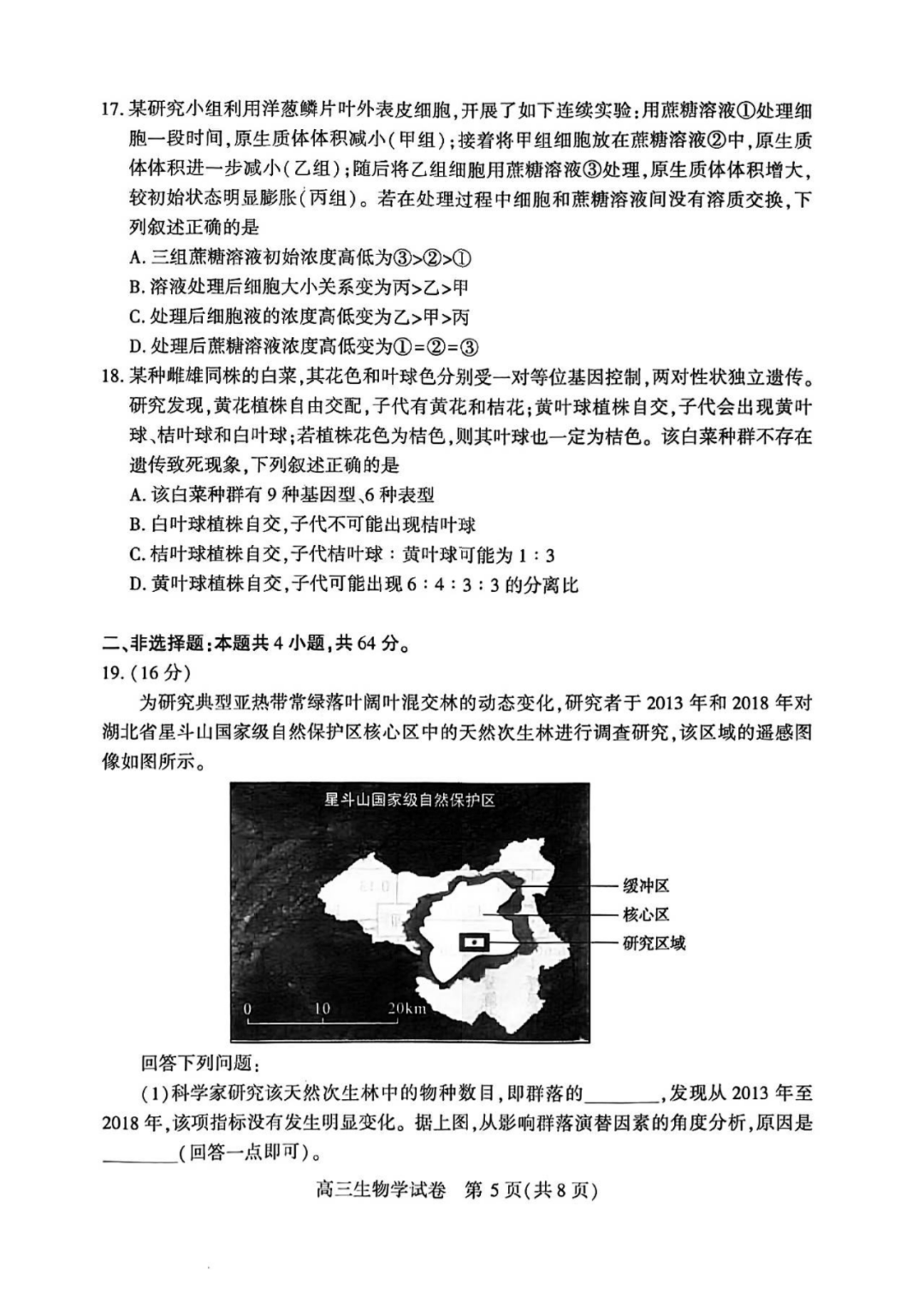 2025届武汉高三二调全解析：九科试卷真题及答案解析