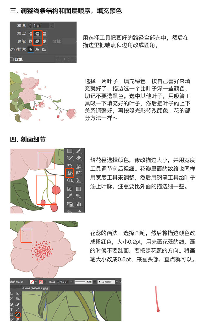 如何绘制山茶花插画?PS加AI手绘山茶花插画教程