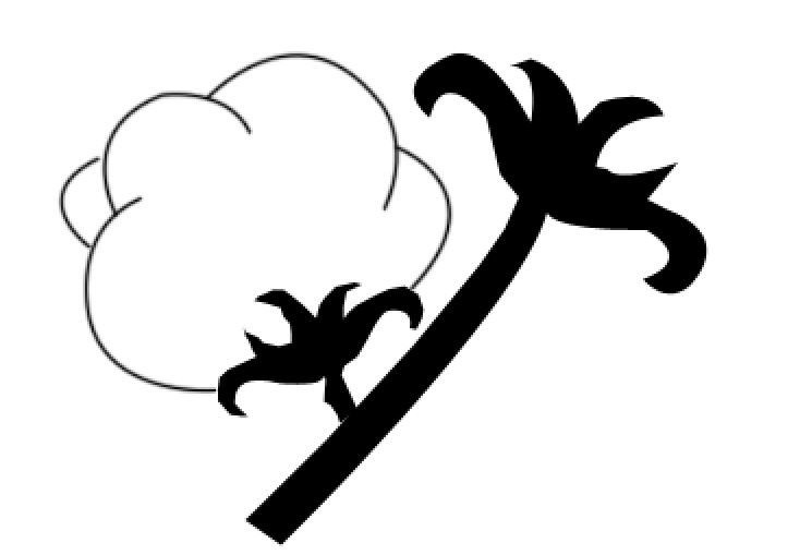 ps怎么画棉花? ps手绘棉花矢量图的技巧