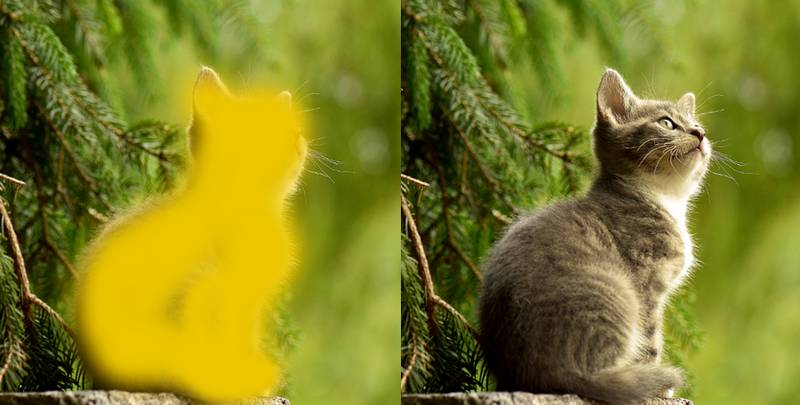 如何用PS合成猫看鱼的超现实场景?用PS合成猫咪看鱼的超现实场景教程