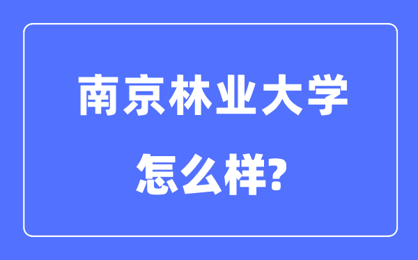 南京林业大学是985还是211,南京林业大学怎么样?