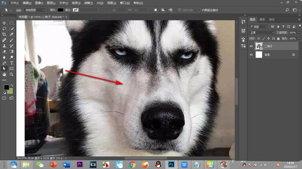 PS画布不能拖动移动怎么解决? PS画布移动的方法