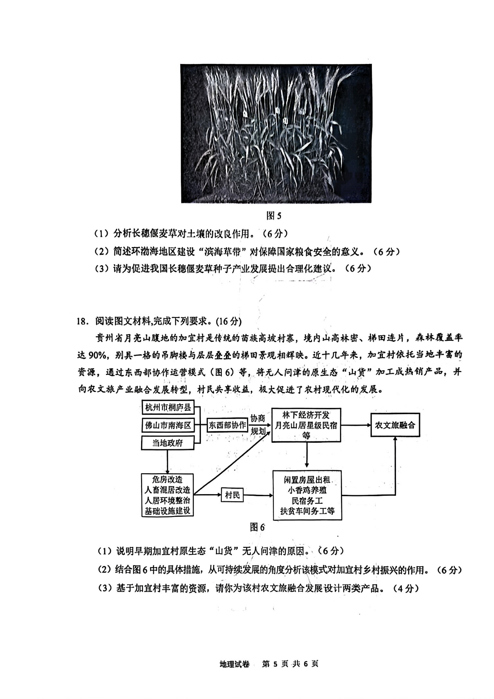 2025江南十校联考各科试卷及答案解析