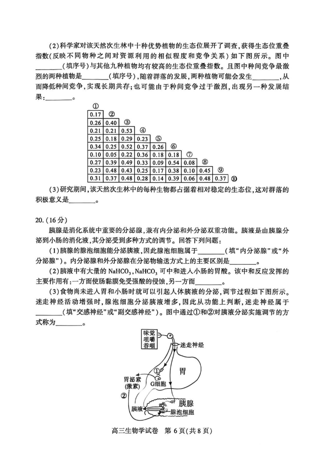 2025届武汉高三二调全解析：九科试卷真题及答案解析