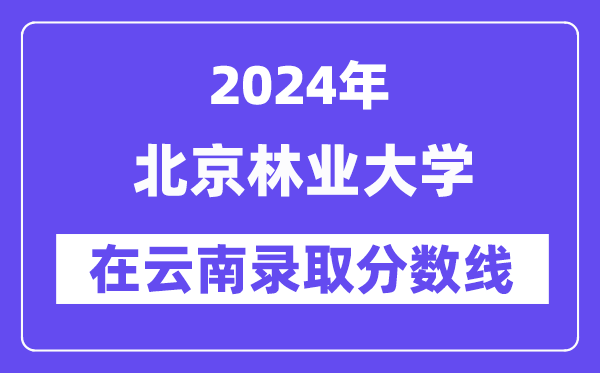 北京林业大学2024年在云南录取分数线一览表(2025年参考)