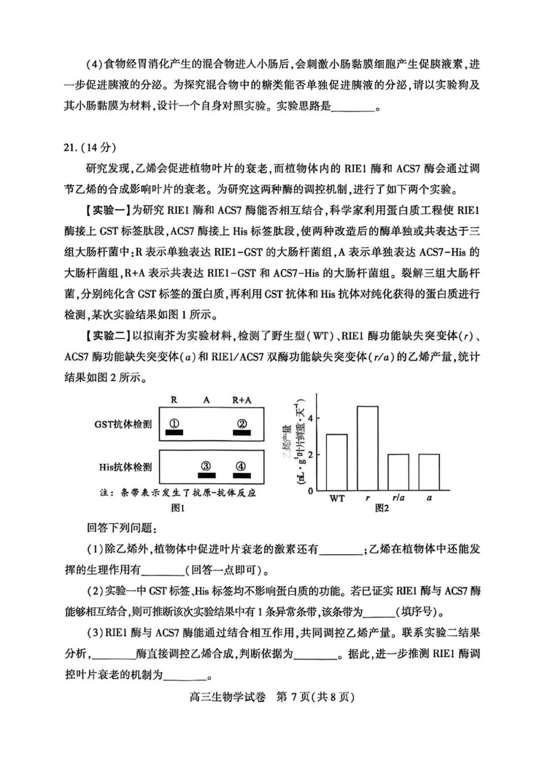 2025届武汉高三二调全解析：九科试卷真题及答案解析