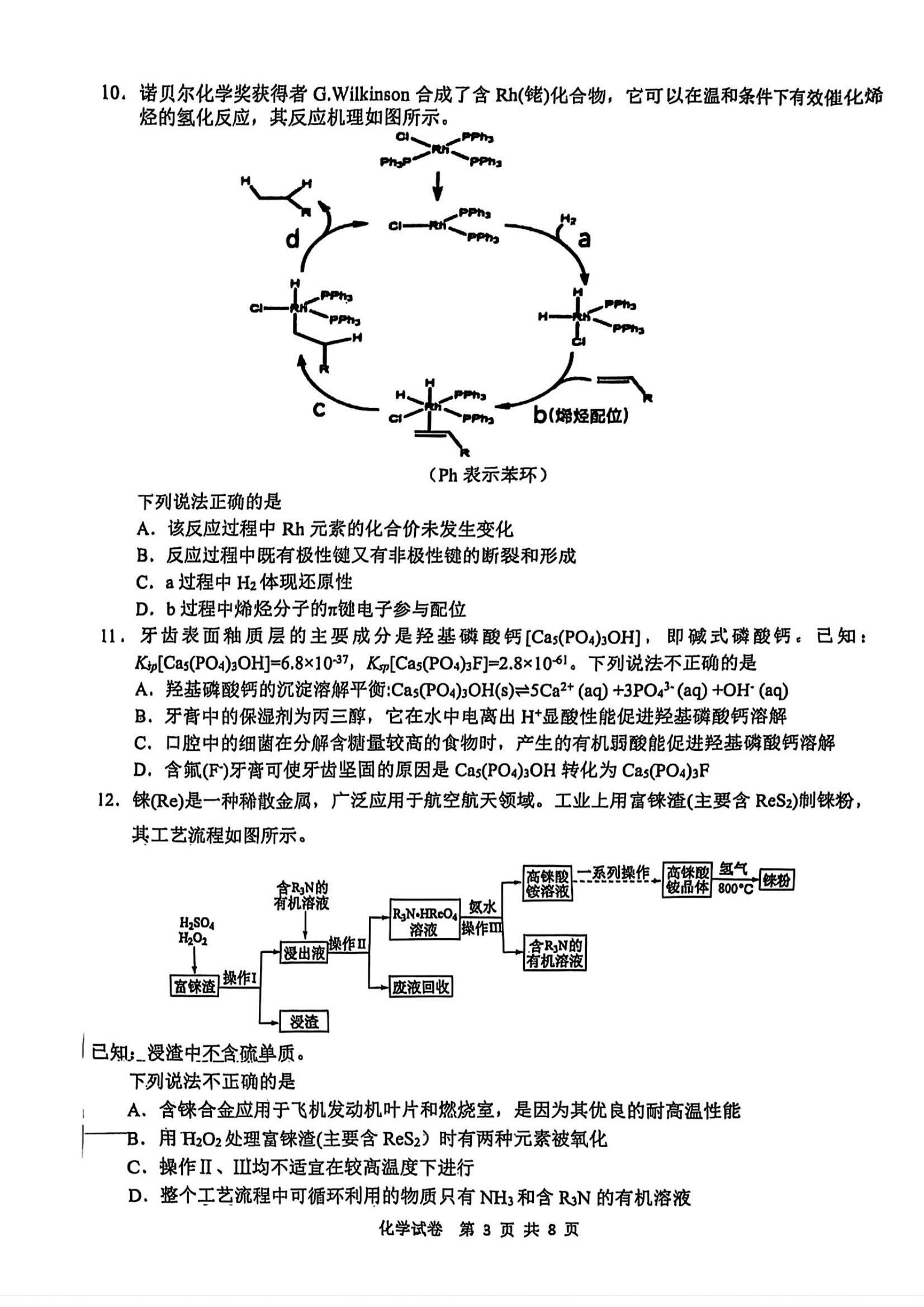 2025江南十校联考各科试卷及答案解析